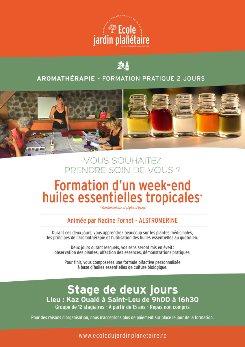 plante a arome citronne en 7 lettres